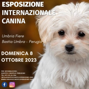 Esposizione Internazionale Canina Esposizione Internazionale Canina