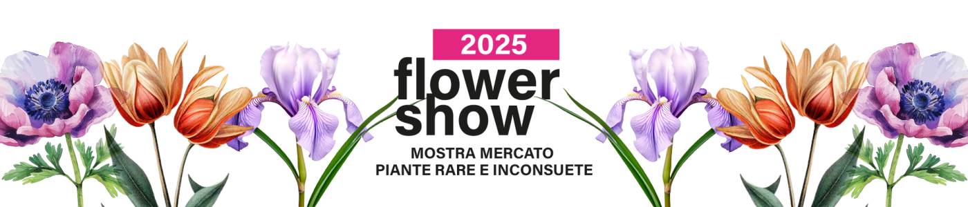 FLOWER SHOW 2025