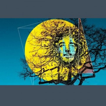 MAX GAZZE' - La Matematica dei Rami Tour MAX GAZZE' - La Matematica dei Rami Tour