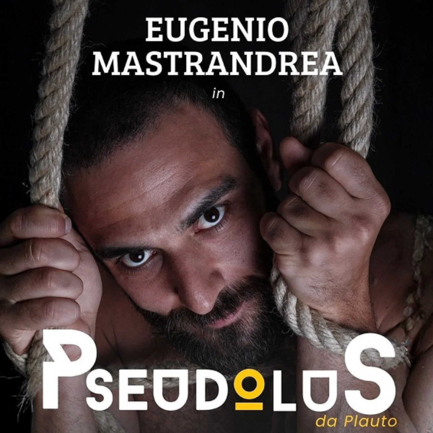 Pseudolus Pseudolus