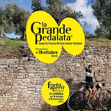 La Grande Pedalata lungo la fascia olivata Assisi-Spoleto 2025