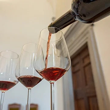 Speed Wine - Wine Vibes il Sagrantino